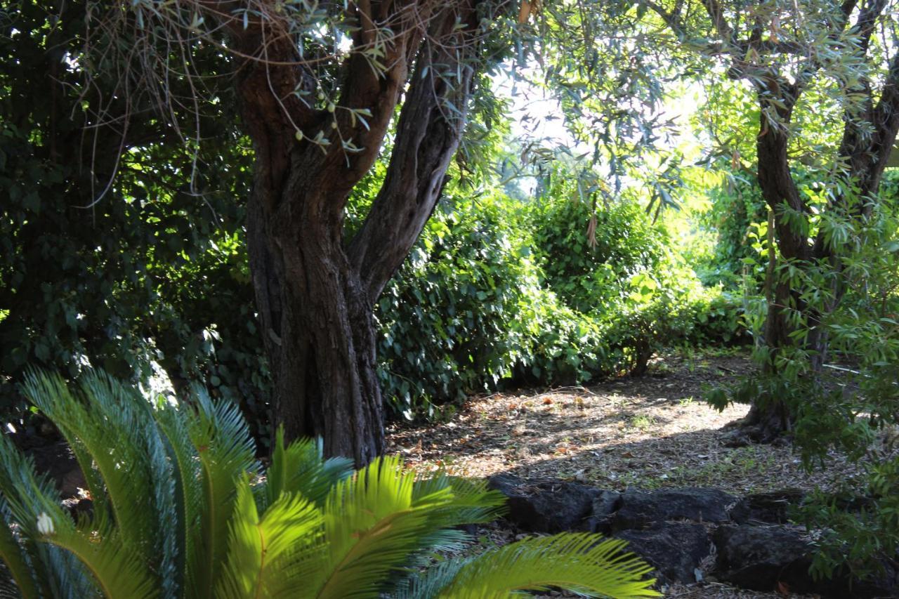 Il Giardino Dei Lucchesi - Country Houses Villa Aci Catena Exterior photo